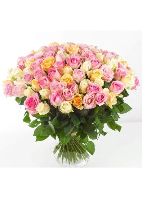 100 įvairių pastelinių spalvų rožių puokštė